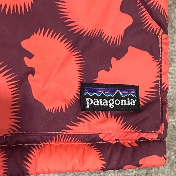 Patagonia Reversible Hedgehog 2 Piece Snowsuit Kids' Coat and Pants Set